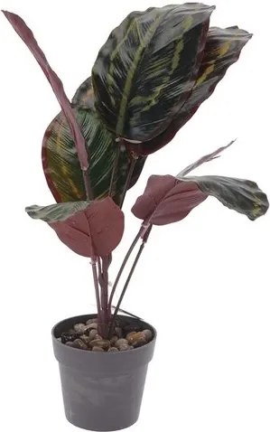 Koopman Umelá rastlina v kvetináči Patty, 30 cm