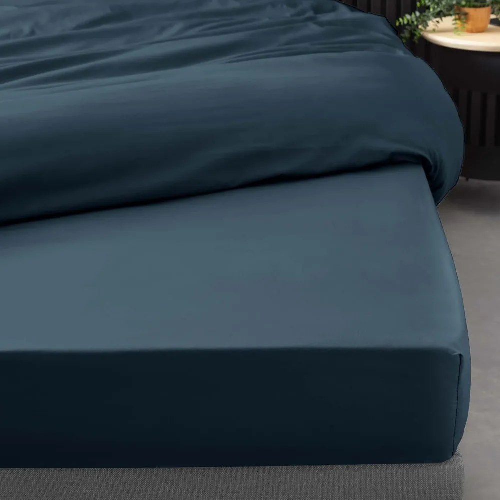Tmavomodrá napínacia plachta z bavlneného perkálu 90x190 cm Percaline – douceur d'intérieur