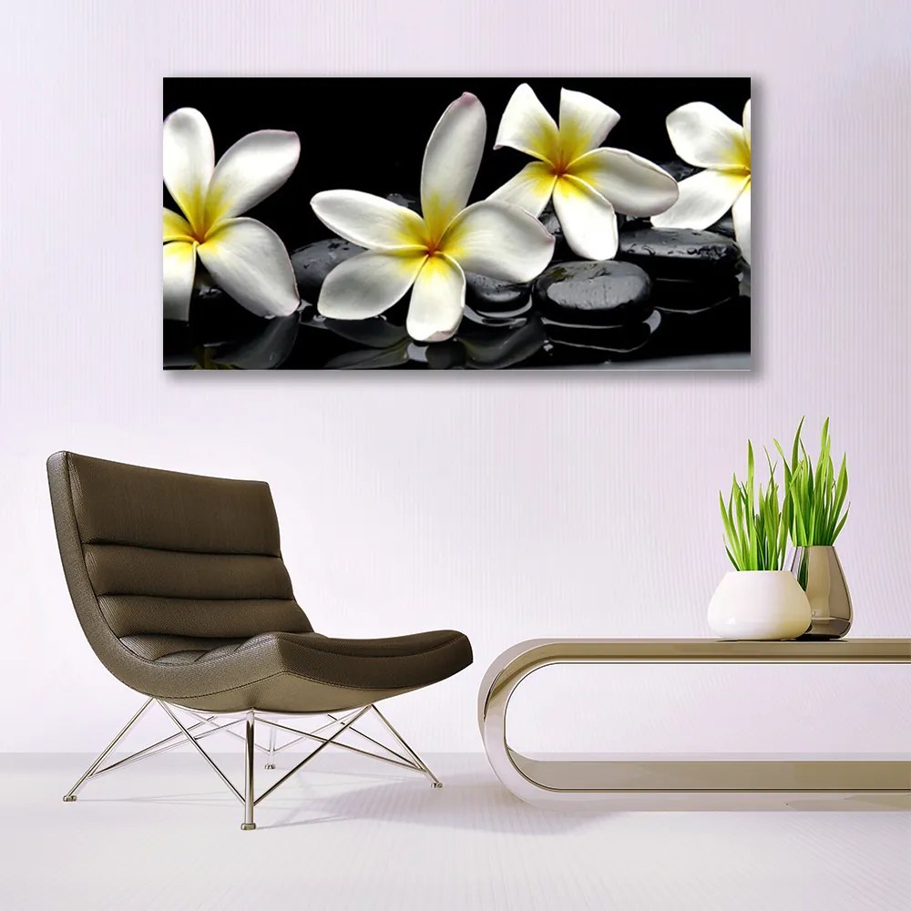 Obraz plexi Kamene kvety kúpele 120x60 cm
