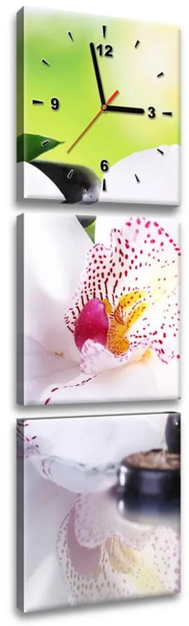 Gario Obraz s hodinami Biela orchidea a kamene - 3 dielny Rozmery: 90 x 70 cm