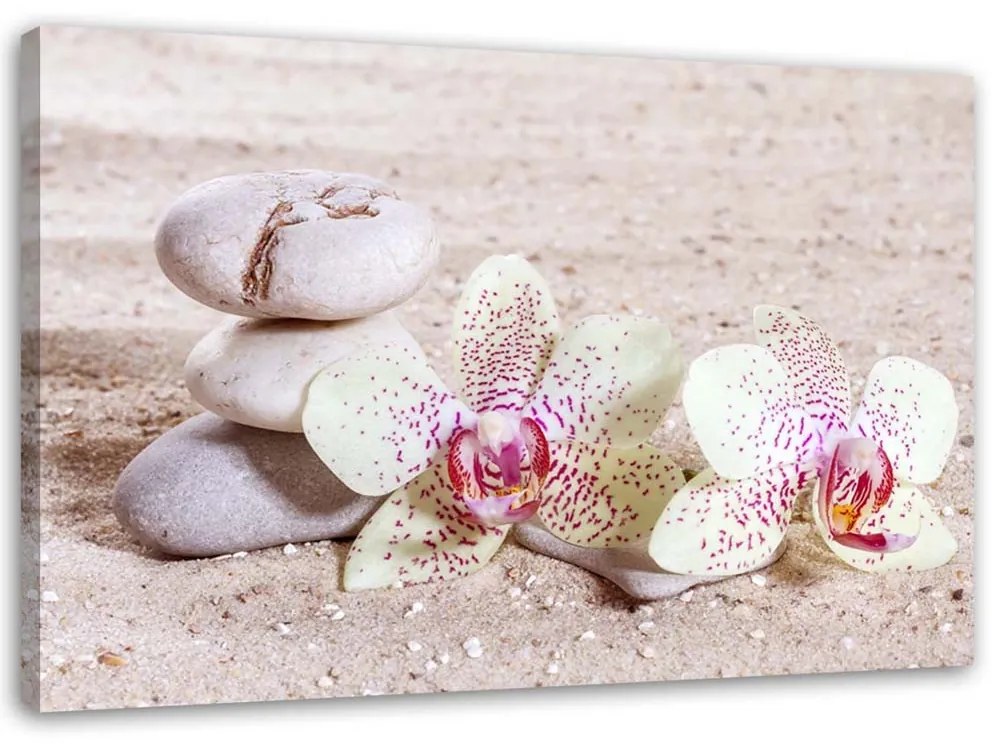 Gario Obraz na plátne Orchidea a kamene na piesku Rozmery: 60 x 40 cm