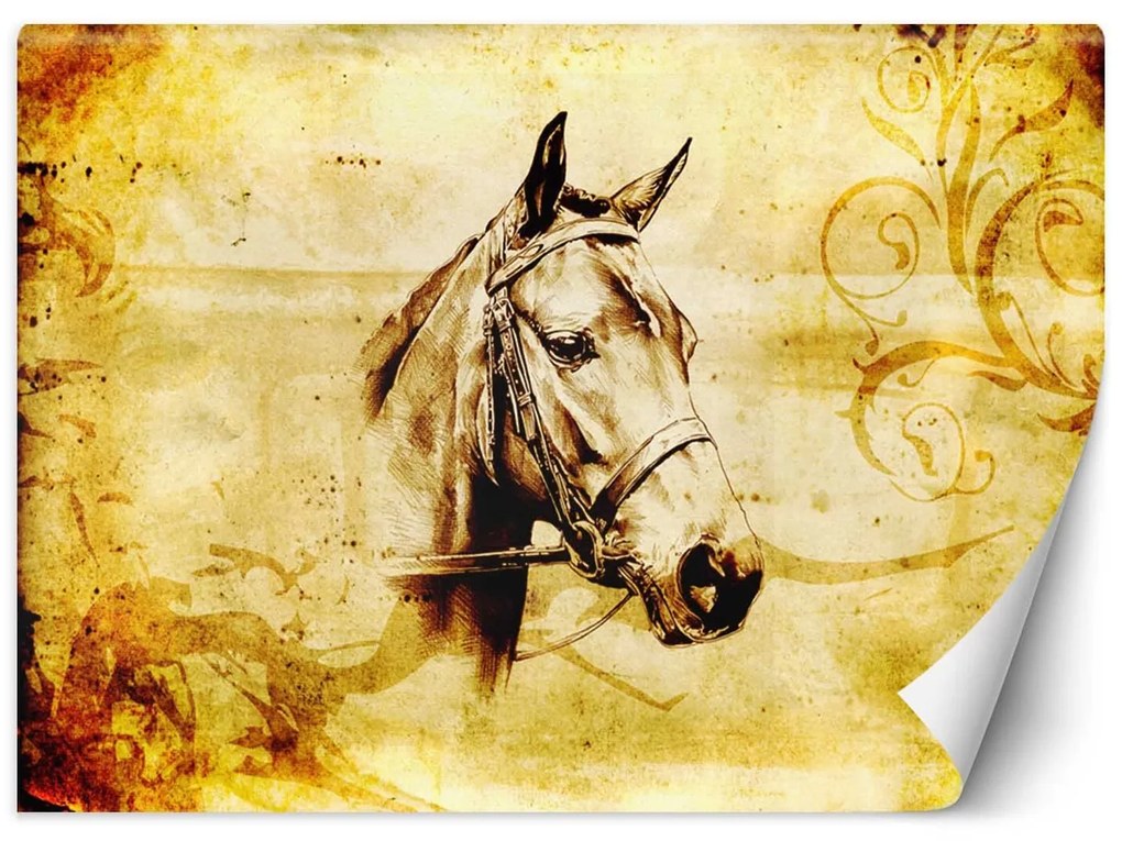 Gario Fototapeta Náčrt koňa Materiál: Vliesová, Rozmery: 150 x 105 cm
