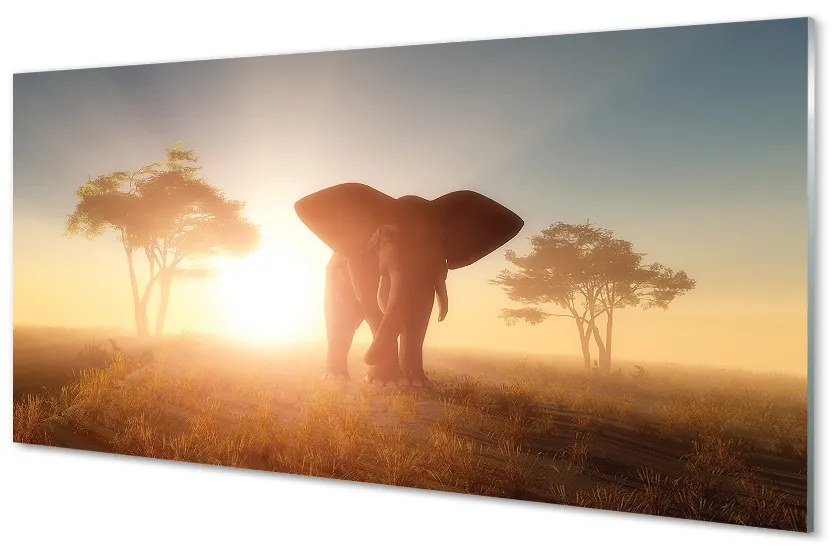Obraz na skle Sloní strom na východ 120x60 cm