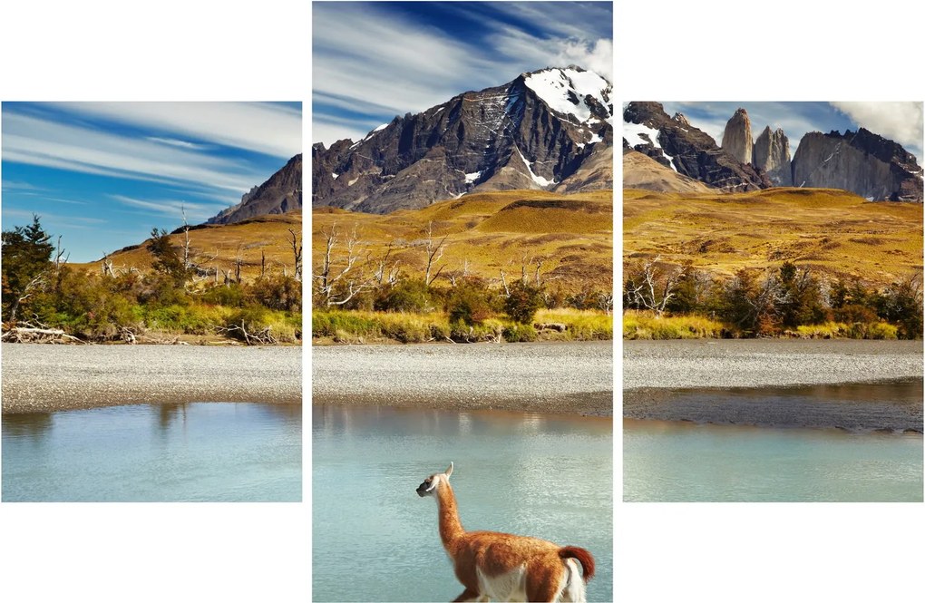 Obraz - Národný park Torres del Paine (90x60 cm)