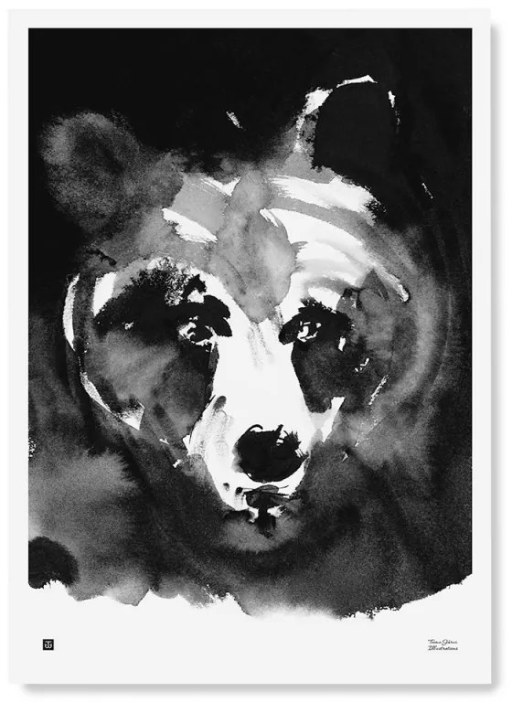 Plagát Mysterious Bear 50x70