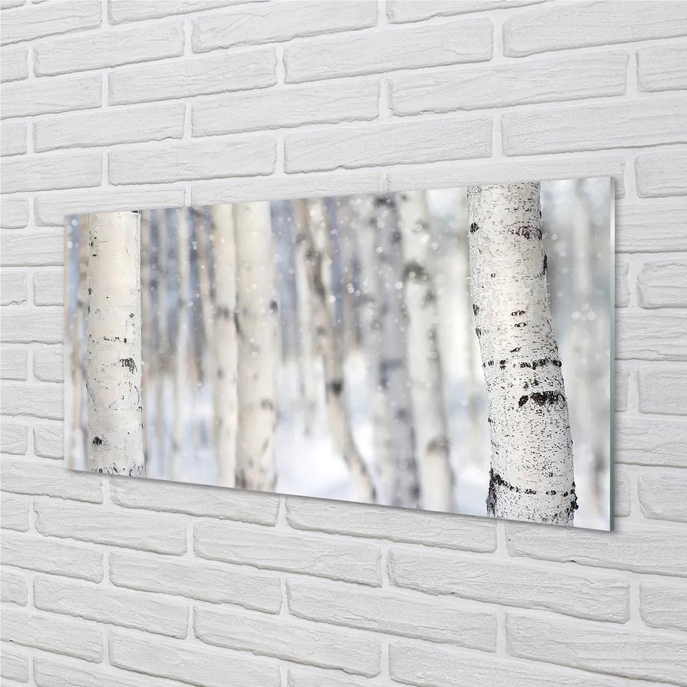 Obraz plexi Stromy v zime sneh 125x50 cm