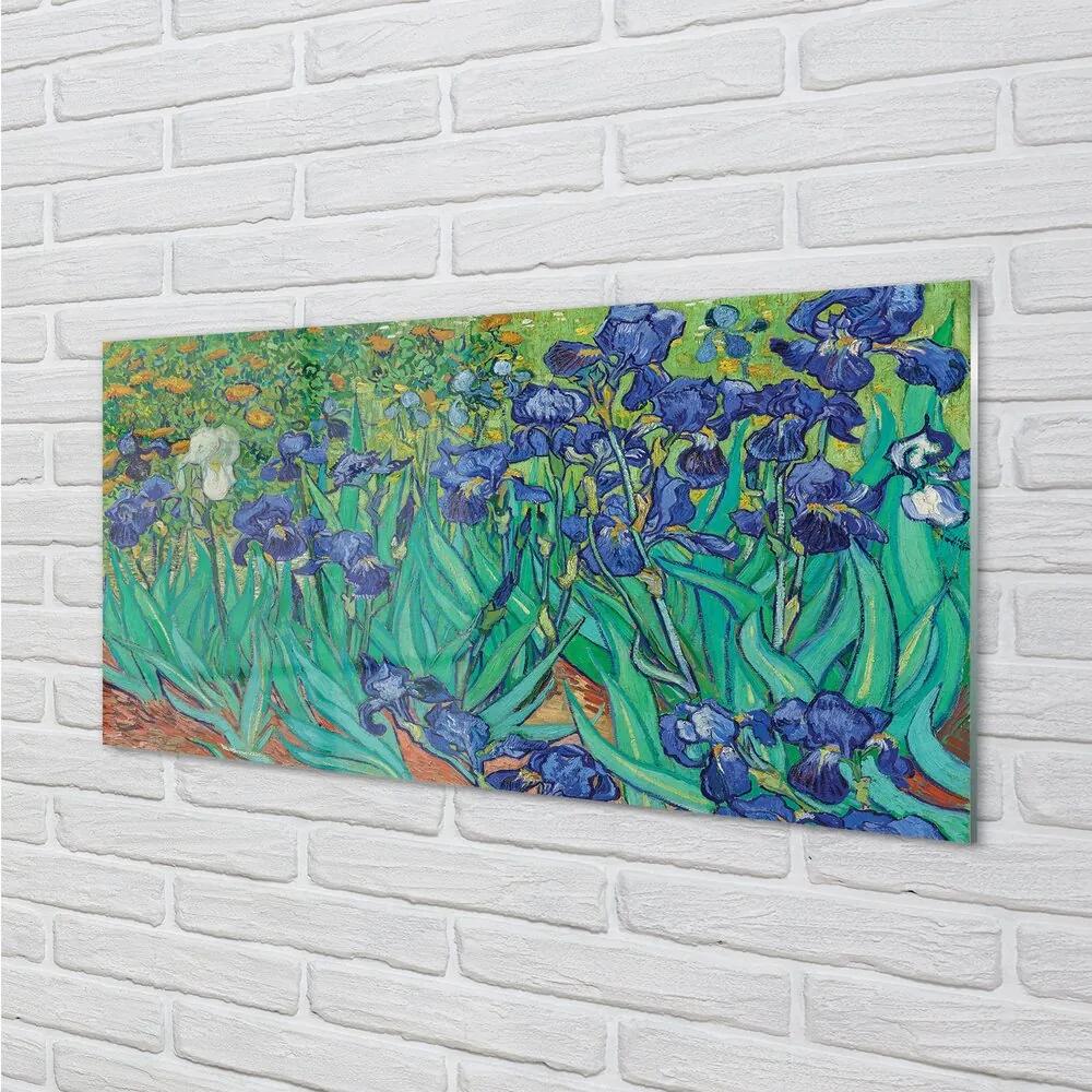 Obraz na skle Umenie kvety dúhovky 100x50 cm