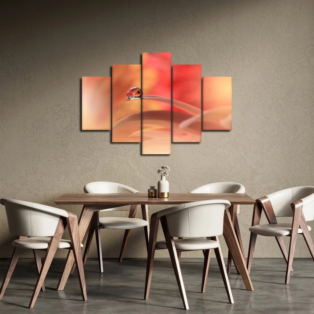 Obraz kvetinové kvapky rosy (150x105 cm)