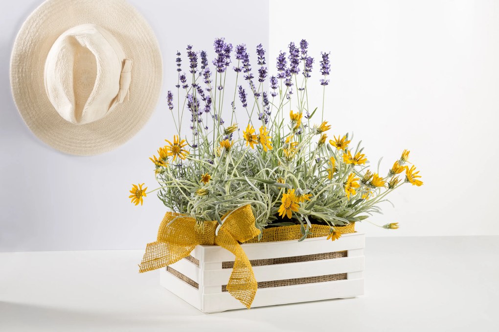 BAMA Bednička plastová TINA 2 biela