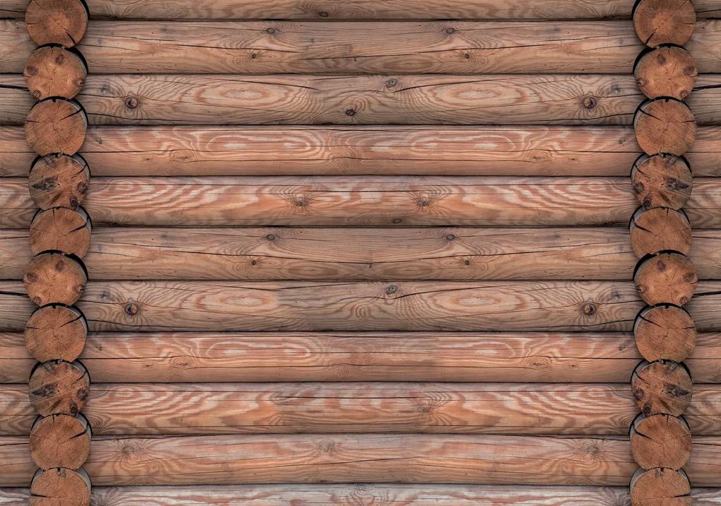 Fototapeta - Zrub (254x184 cm)