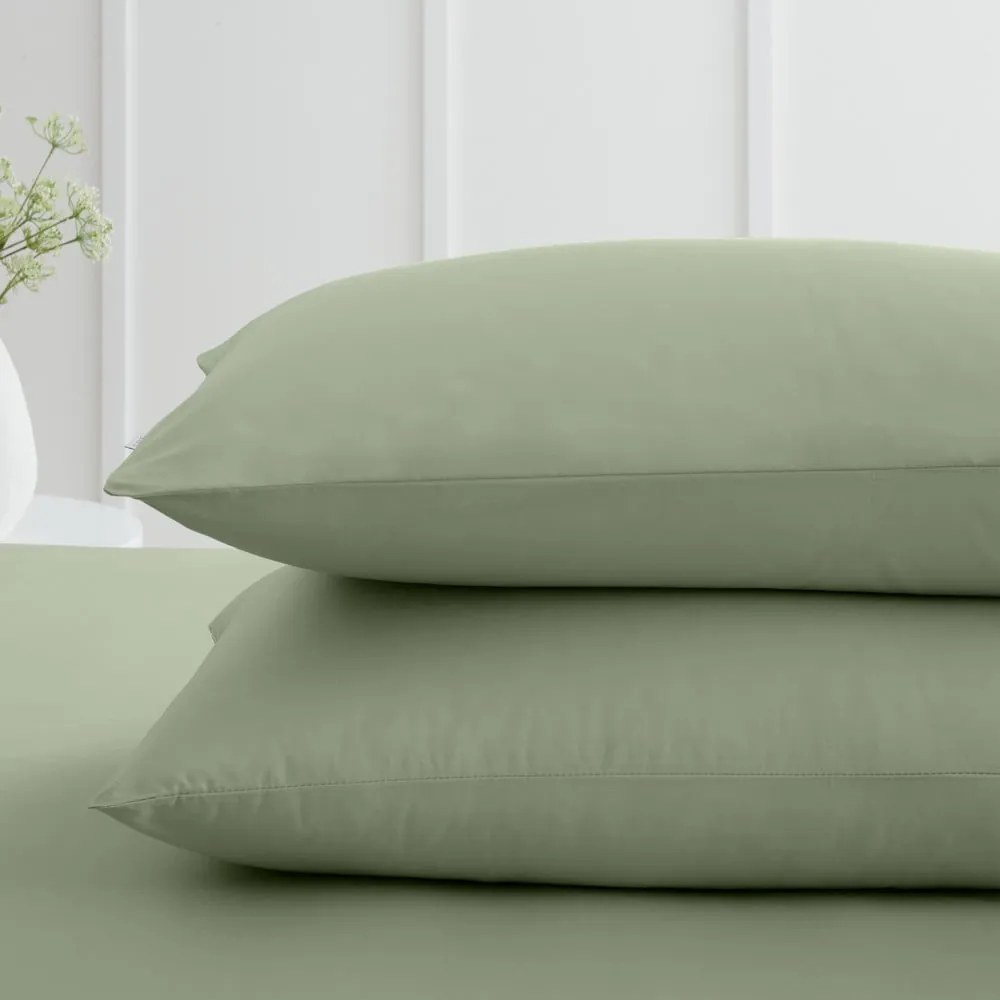 Obliečky na vankúše v súprave 2 ks z bavlneného perkálu 50x75 cm Cotton Percale – Bianca