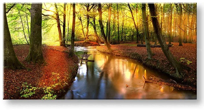 Obraz na stenu PANORÁMA STROMY