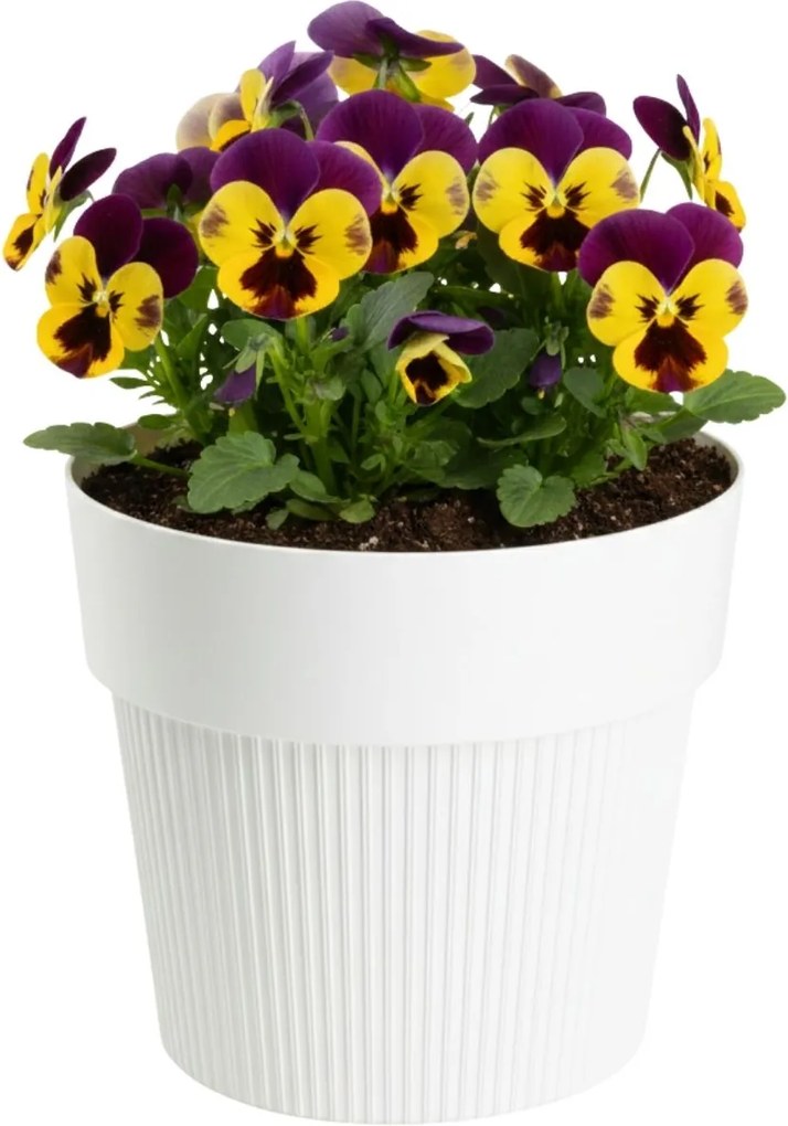 PLASTOVÝ KVETINÁČ SILVA LINE 16X14 CM KRÉMOVÁ