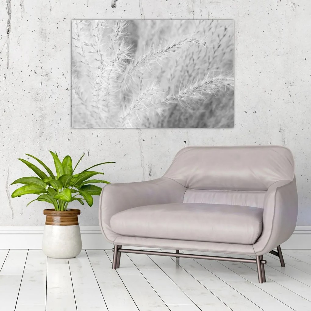 Obraz - Pampas grass N⁰1 (90x60 cm)