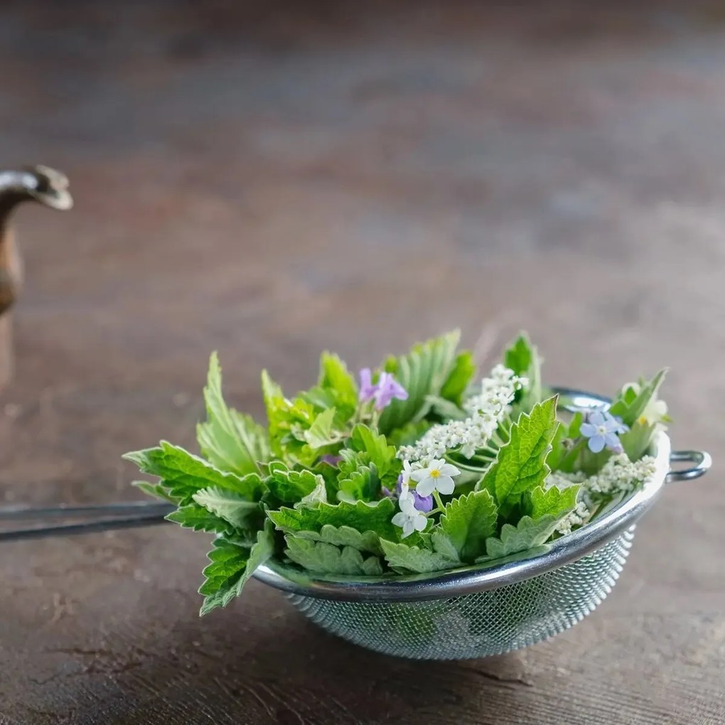 Orion Cedidlo nerez pr. 10 cm, 10 cm