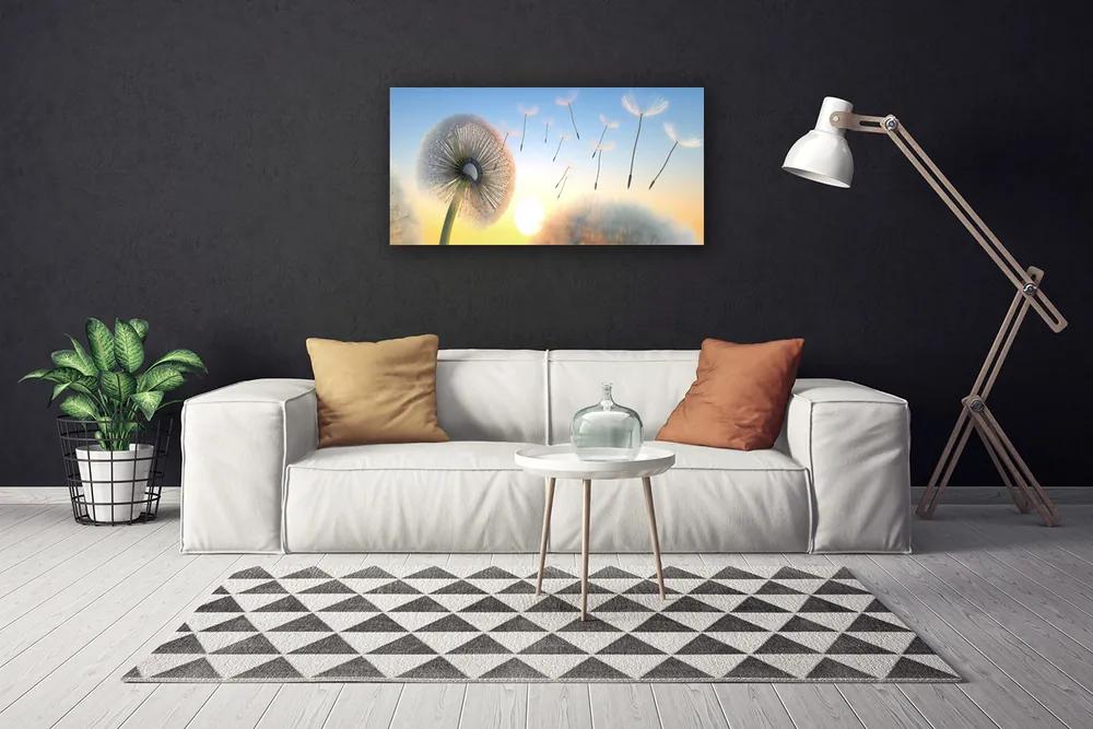 Obraz Canvas Púpava kvety 125x50 cm