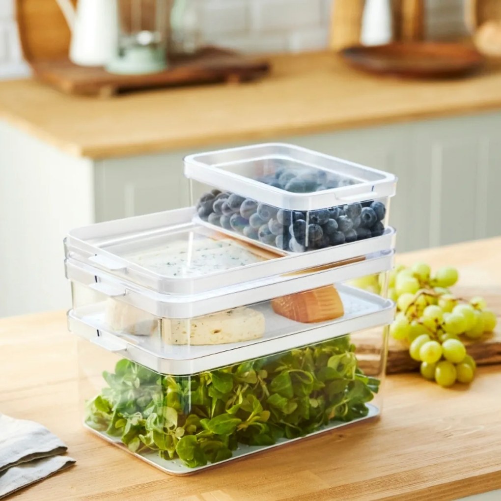 Rotho Organizér do chladničky, s vekom a špeciálnou podložkou 4,65 l CAUMA