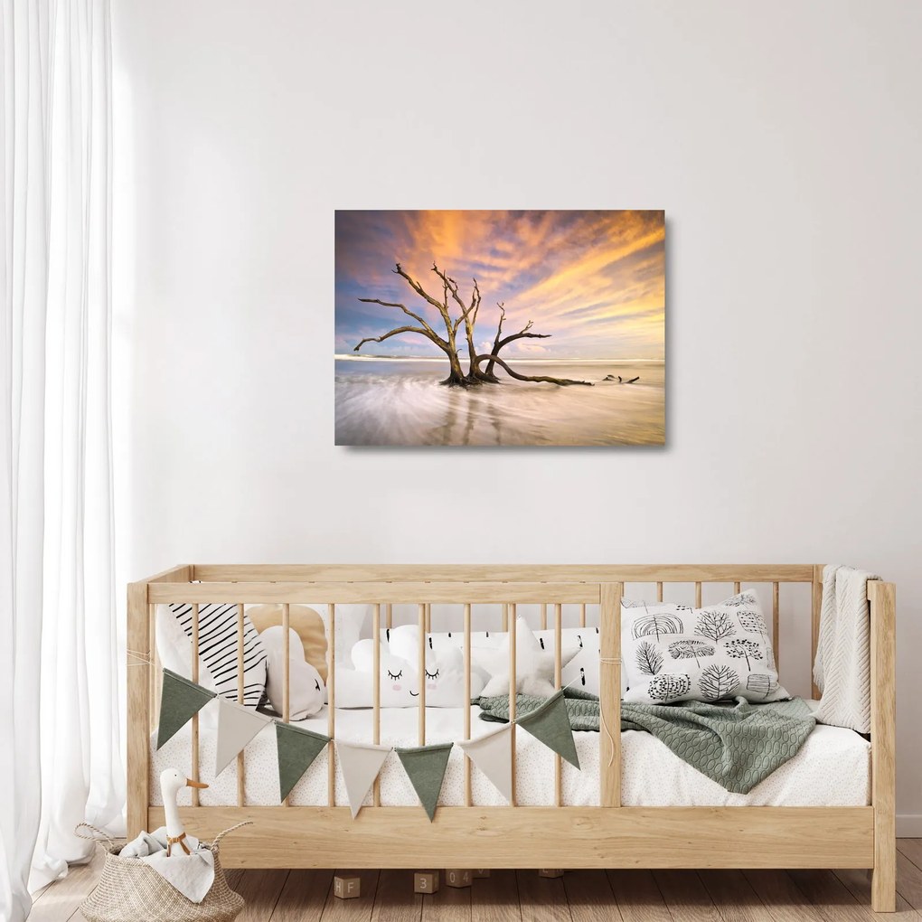 Sklenený obraz stromu v oceáne (70x50 cm)