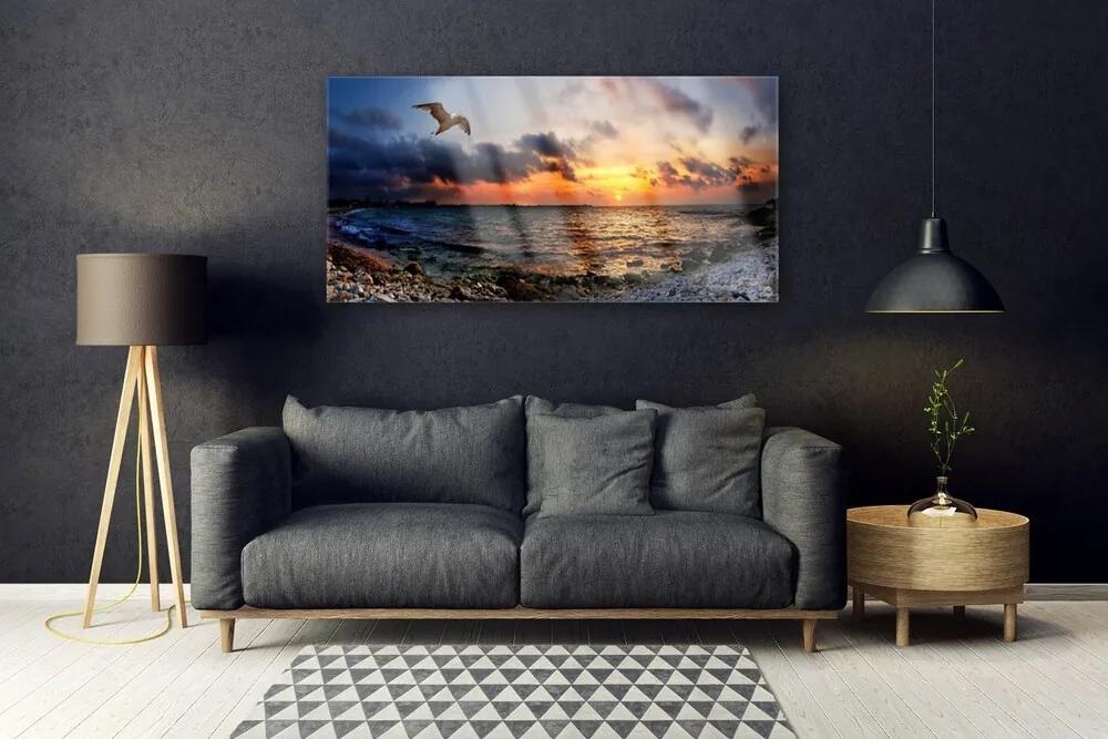Obraz na akrylátovom skle Čajka more pláž krajina 120x60 cm