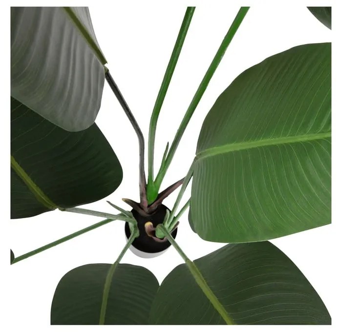 Umelá strelícia (výška 164 cm) – WOOOD