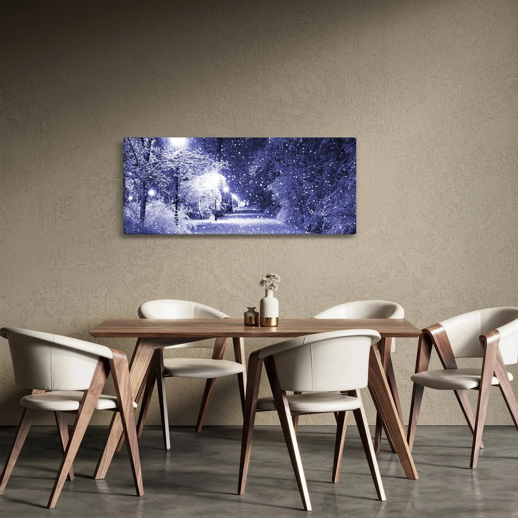 Obraz - Čarovná zimná noc (120x50 cm)