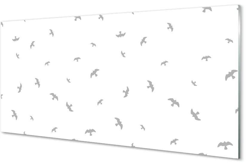 Obraz na akrylátovom skle Šedej vtákov 100x50 cm