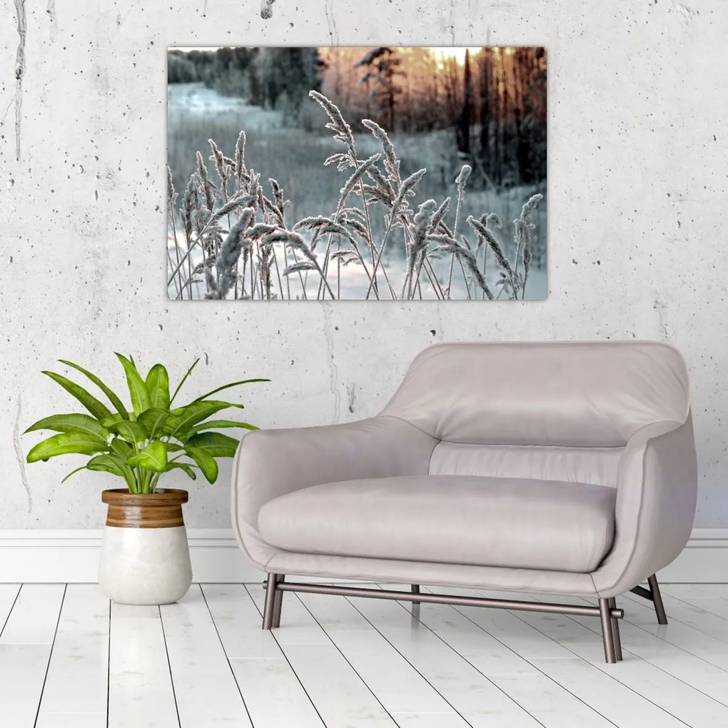 Obraz - Zamrznutá lúka (90x60 cm)