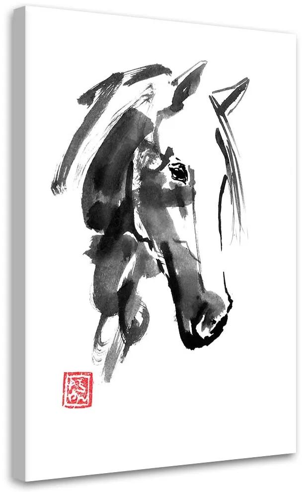 Gario Obraz na plátne Hlava koňa - Péchane Rozmery: 40 x 60 cm