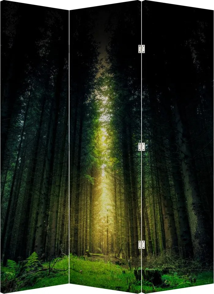 Paraván - Temný les (126x170 cm)