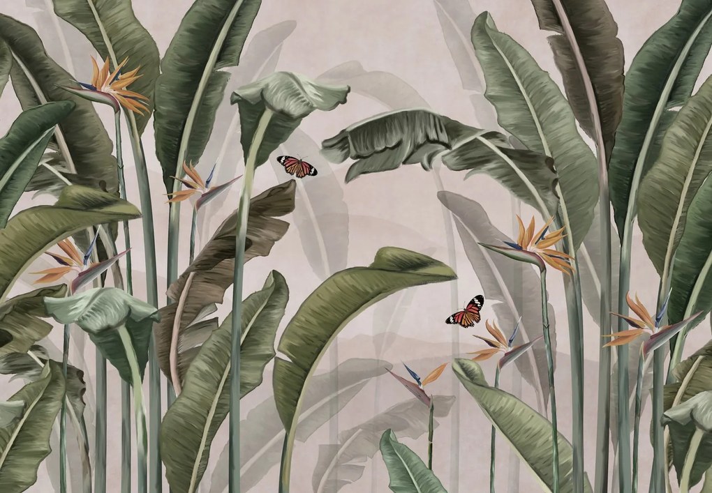 Fototapeta – Džungľa s motýľmi (147x102 cm)
