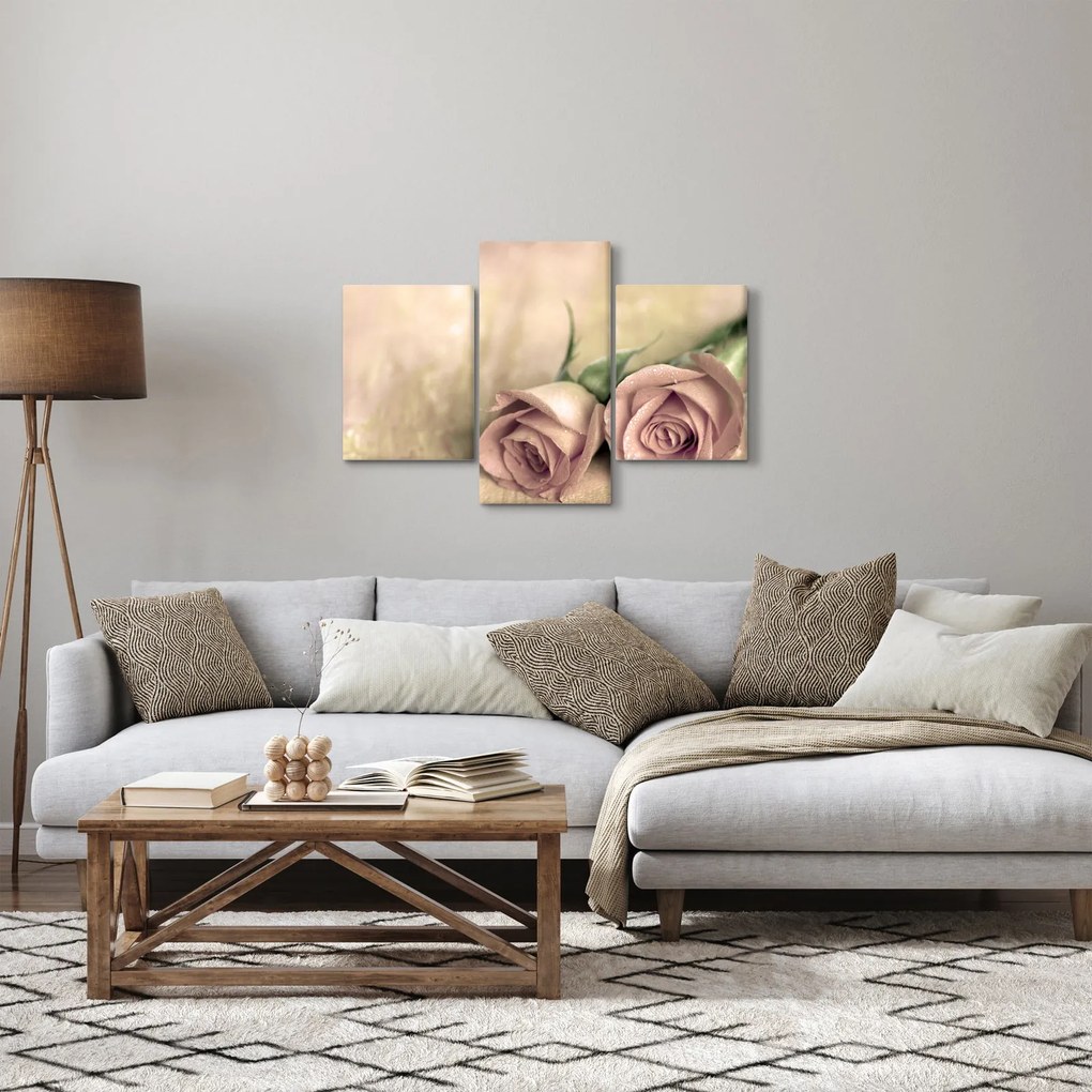 Obraz - Jemné ruže (90x60 cm)