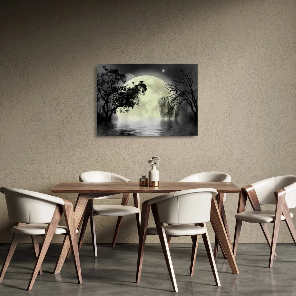 Sklenený obraz - Spln nad hladinou, čiernobiely variant (70x50 cm)