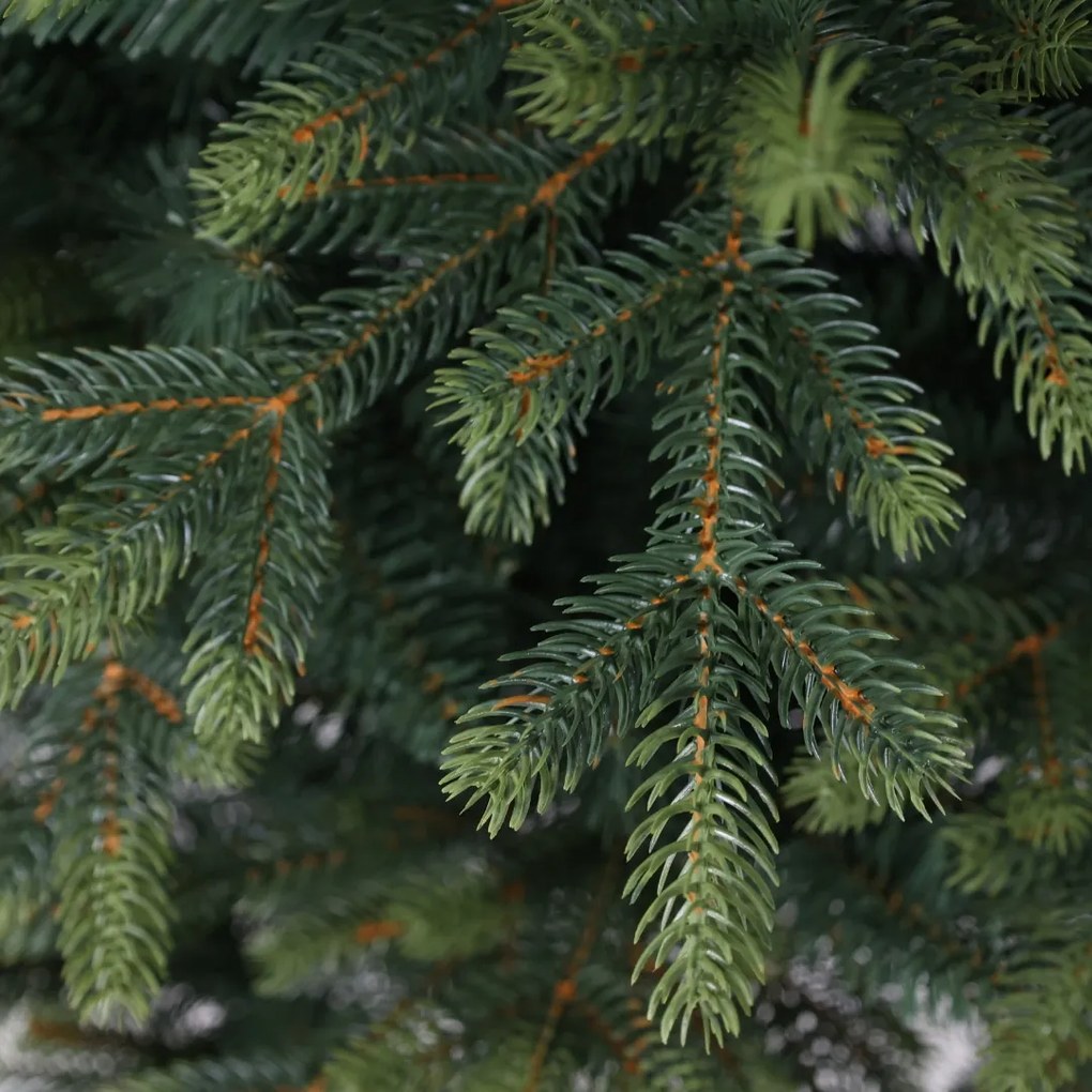 Smrek Kvitnúci extra hustý 180 cm