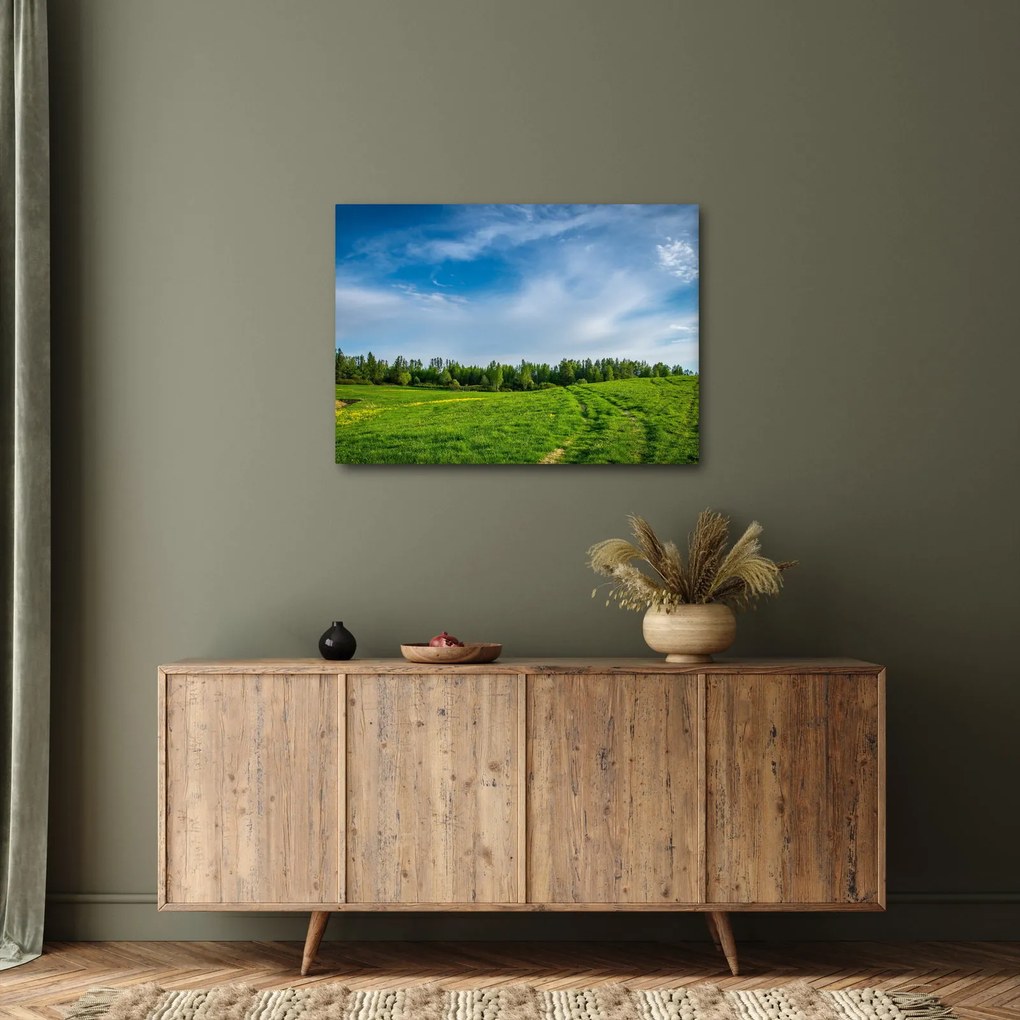 Obraz lúky (70x50 cm)