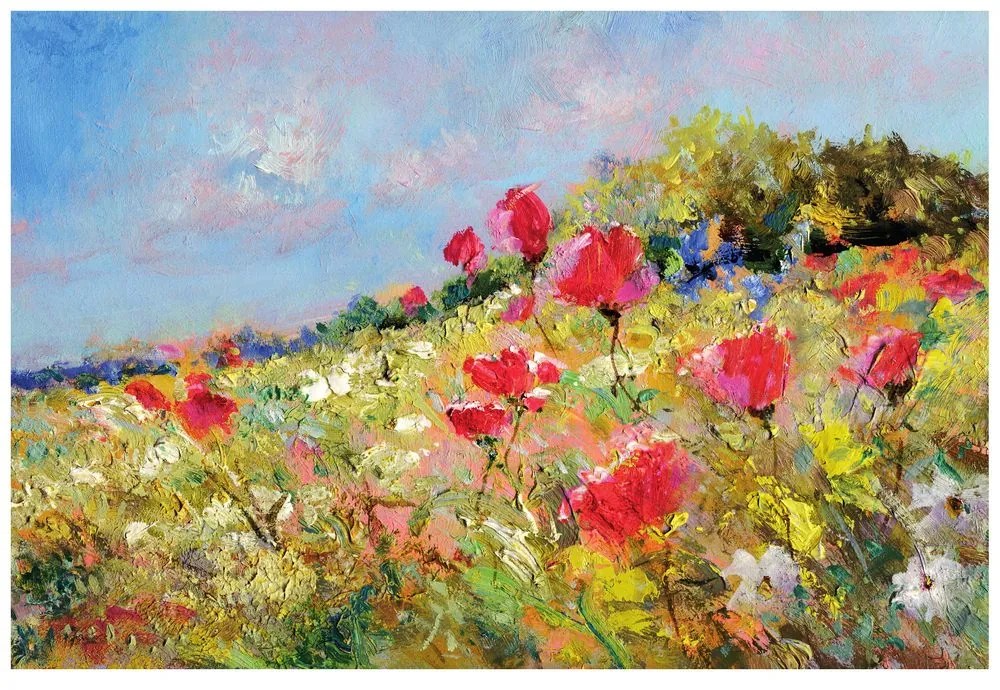 Samolepiaca tapeta maľované maky na lúke