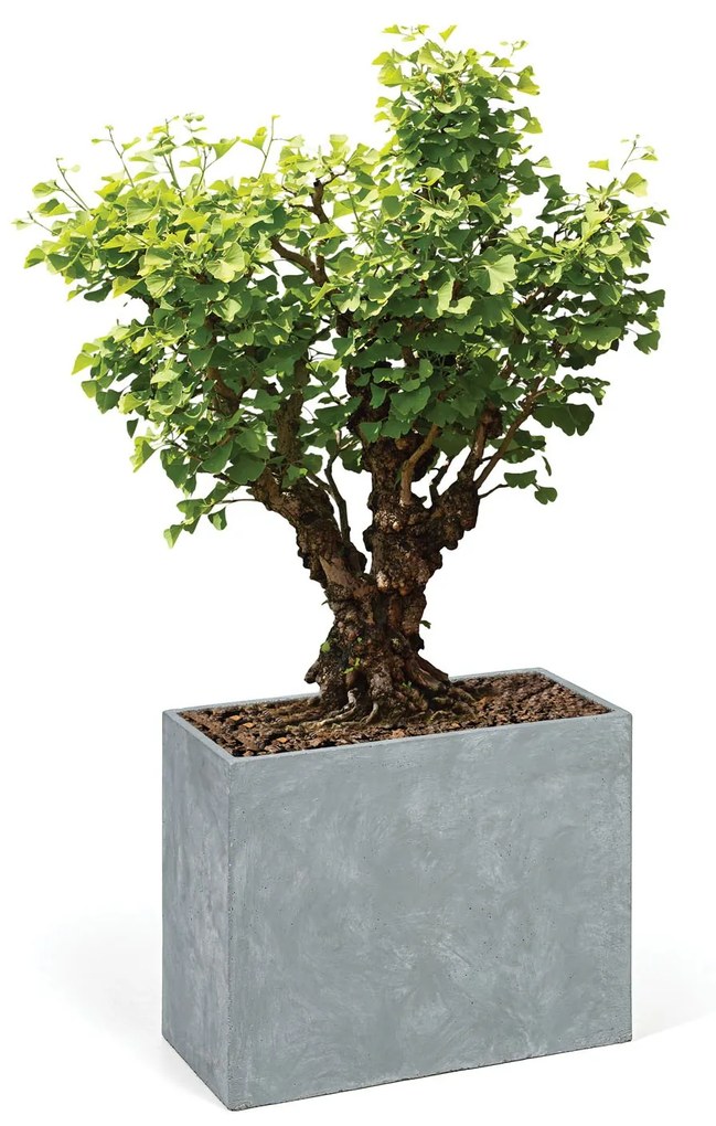 Kvetináč obdĺžny XL, 74 x 22 x 66 cm, cement, sivá