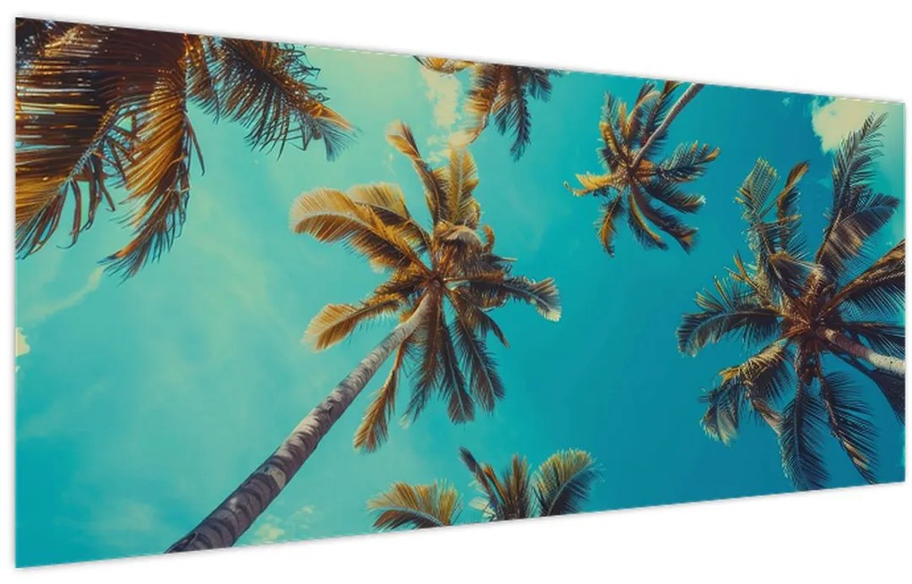 Obraz - Vysoké palmy (120x50 cm)