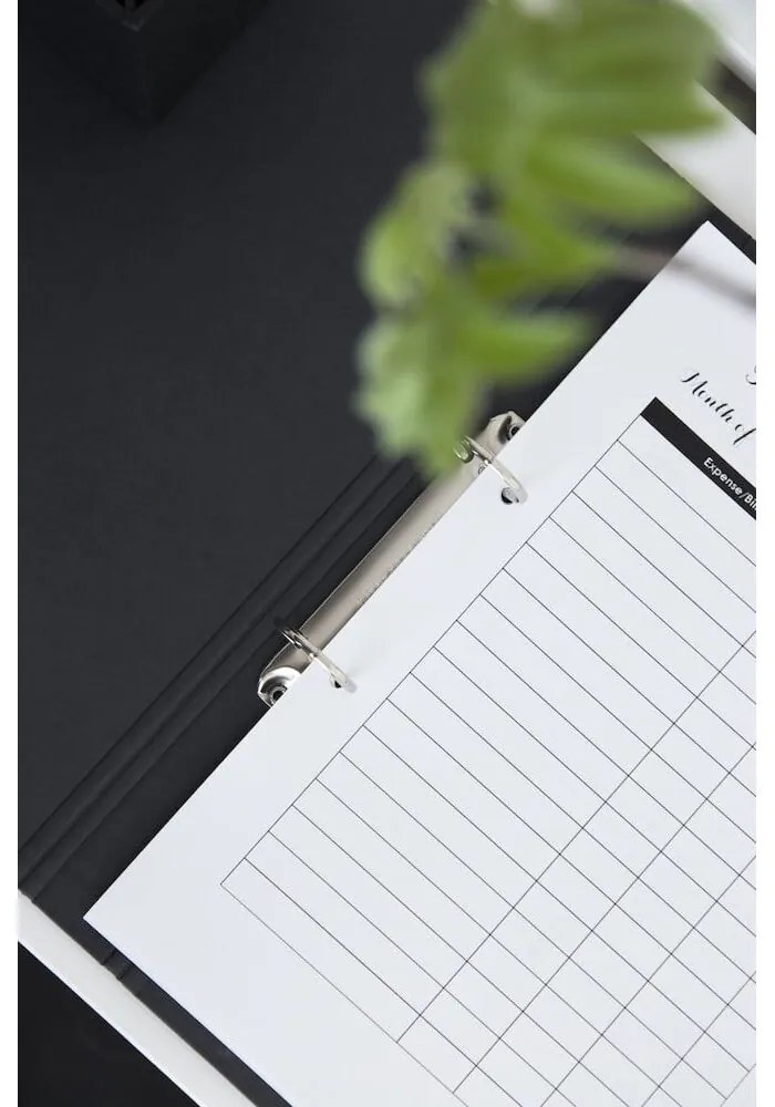 Kartónový organizér na dokumenty Ringo – Bigso Box of Sweden