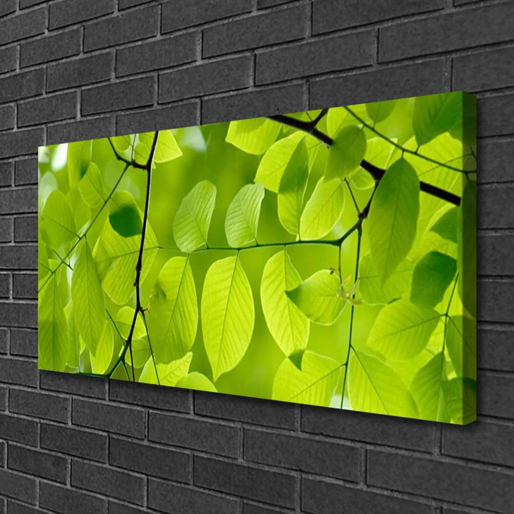 Obraz na plátne Listy príroda rastlina 140x70 cm