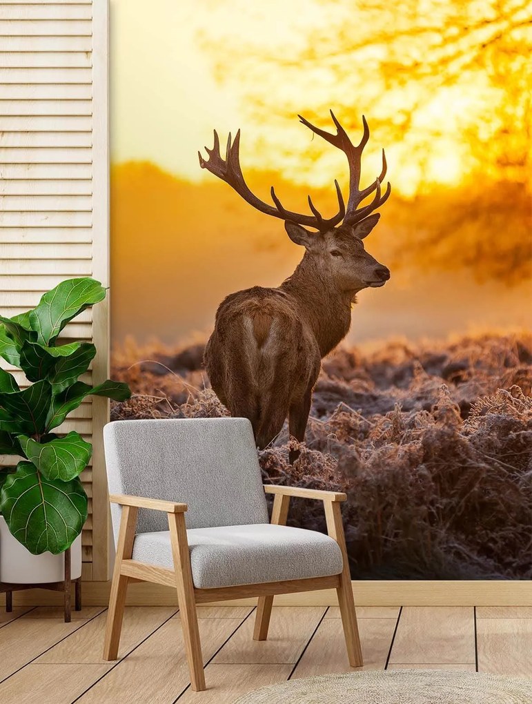 Gario Fototapeta Jeleň pri západe slnka Materiál: Vliesová, Rozmery: 150 x 210 cm