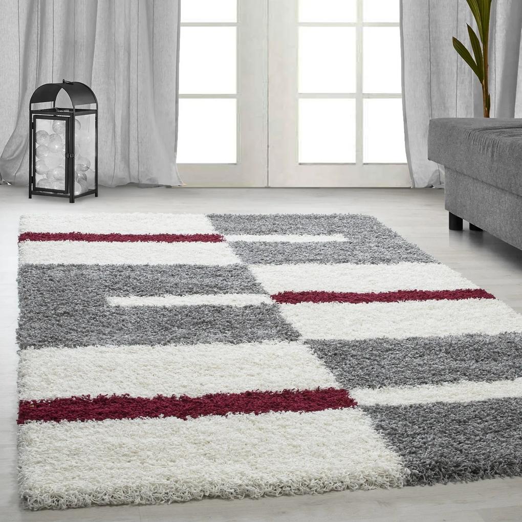 Ayyildiz Kusový koberec GALA 2505, Červená Rozmer koberca: 100 x 200 cm