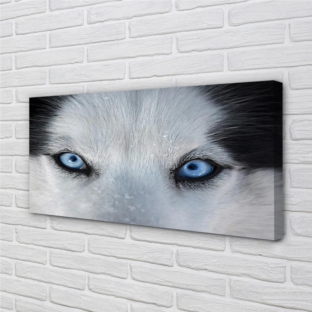 Obraz na plátne wolf Eyes 140x70 cm