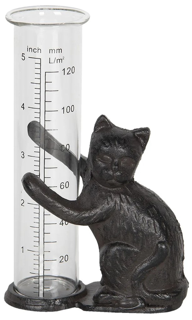 Odmerka na meranie dažďa s mačkou