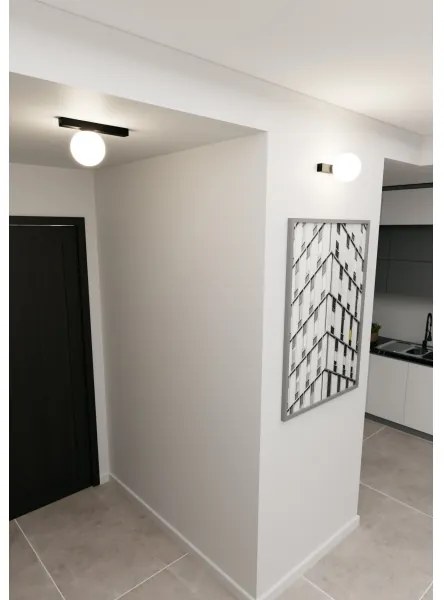 Stropné svietidlo FIT 1xE14/10W/230V čierna/biela