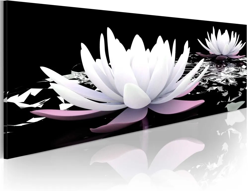 Obraz na plátne Bimago - White water lilies 150x50 cm