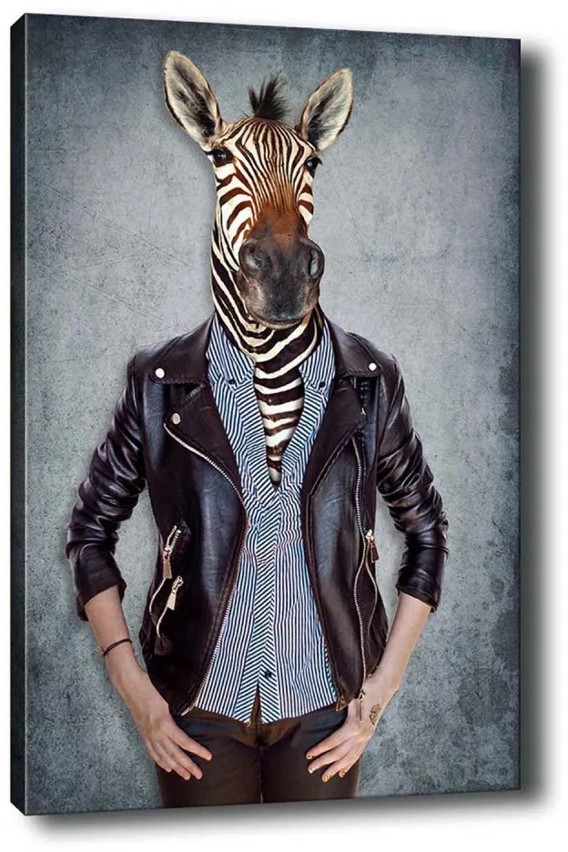 Obraz na plátne Zebra portrait 50x70 cm