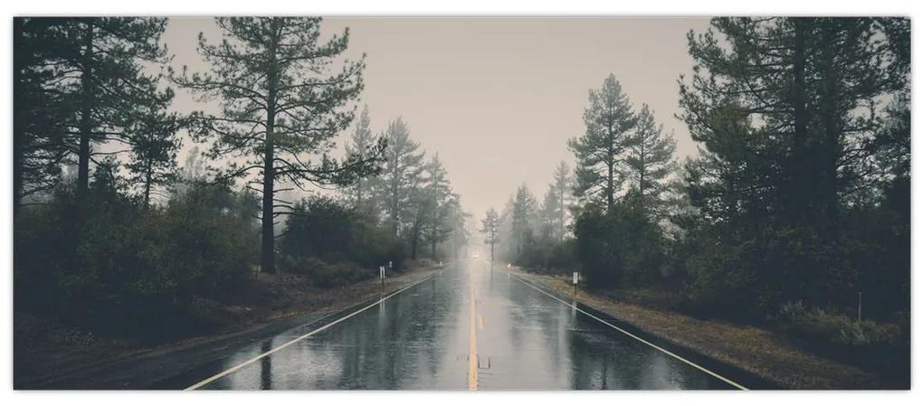 Obraz cesty v daždi (120x50 cm)