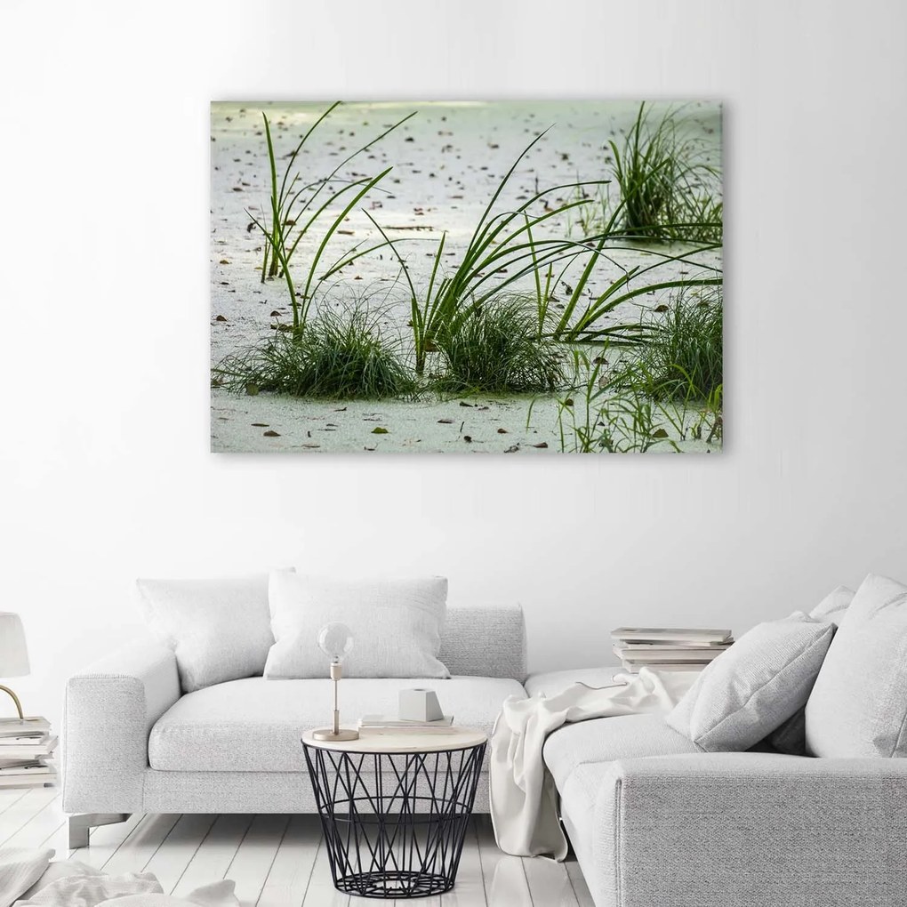 Gario Obraz na plátne Zelená tráva na pláži Rozmery: 60 x 40 cm