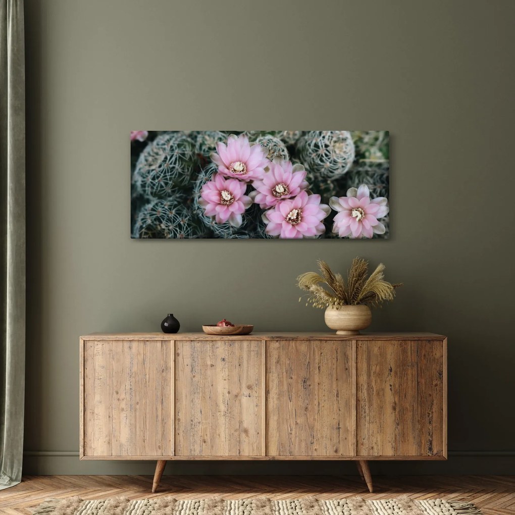 Obraz kvet kaktusu (120x50 cm)