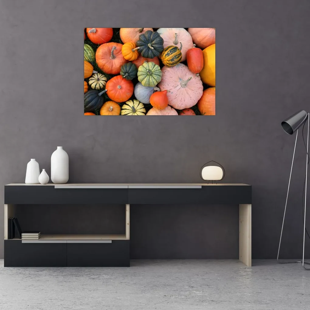 Obraz - Tekvica (90x60 cm)